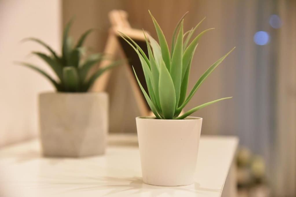Tiny Treasure Apartment Athene Buitenkant foto